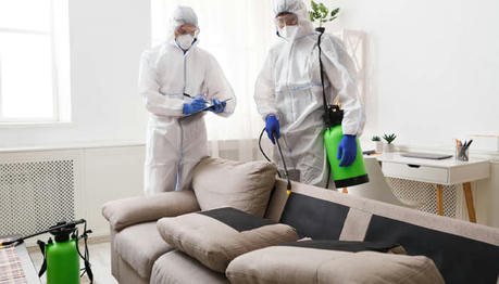 Comparing Pest Control Services: What You Need to Know