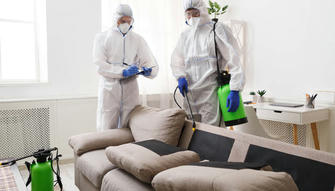 Comparing Pest Control Services: What You Need to Know